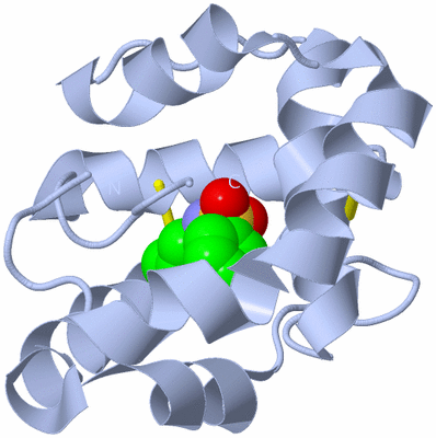 Image Biological Unit 2