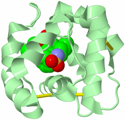 Image Biological Unit 3