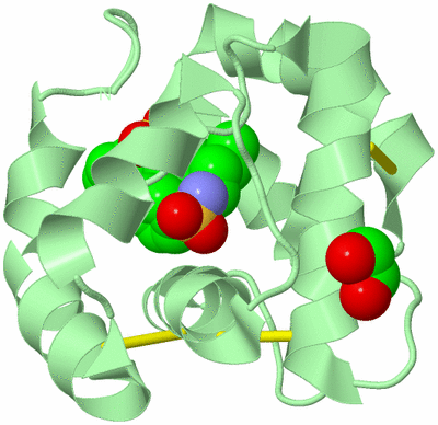 Image Biological Unit 3