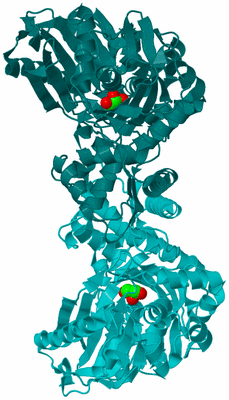 Image Asym./Biol. Unit