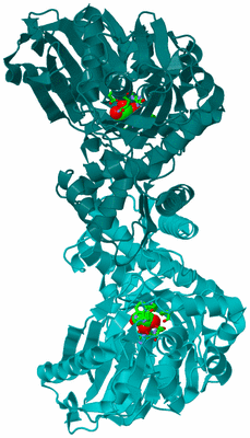 Image Asym./Biol. Unit - sites