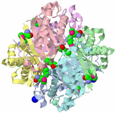 Image Asym./Biol. Unit