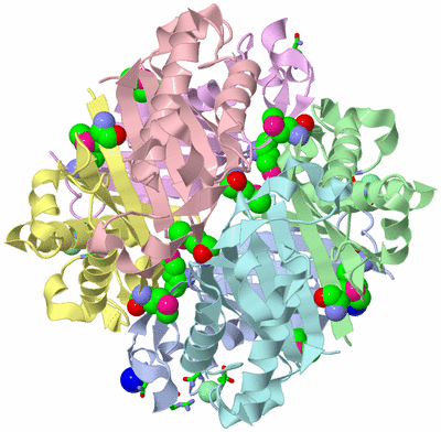 Image Asym./Biol. Unit - sites