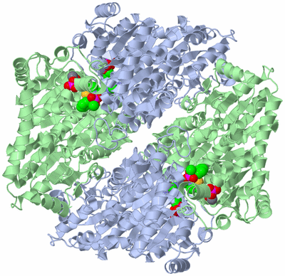 Image Biological Unit 1