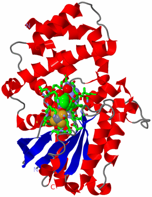 Image Asym./Biol. Unit - sites