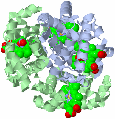 Image Biological Unit 1