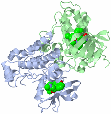 Image Biological Unit 2