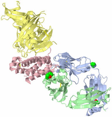 Image Asym./Biol. Unit