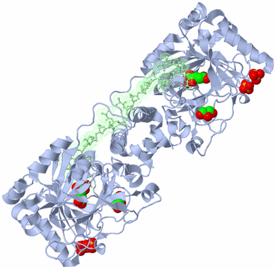 Image Biological Unit 1