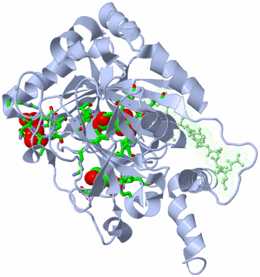 Image Asym. Unit - sites