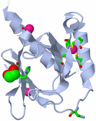 Image Biol. Unit 1 - sites