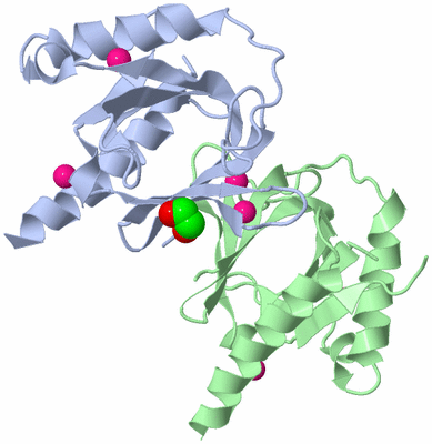 Image Biological Unit 3