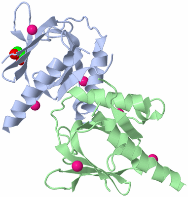 Image Biological Unit 4