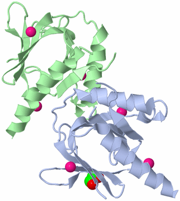 Image Biological Unit 5