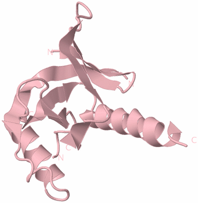 Image Biological Unit 3