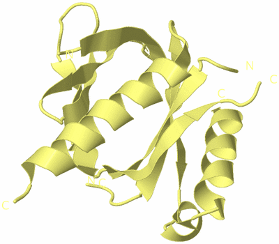 Image Biological Unit 4