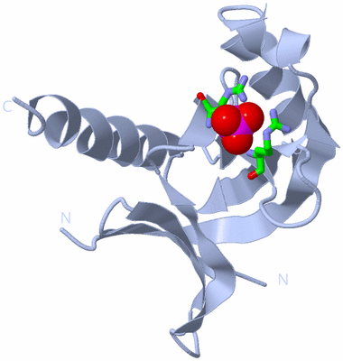 Image Biol. Unit 1 - sites