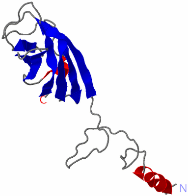 Image Asymmetric Unit