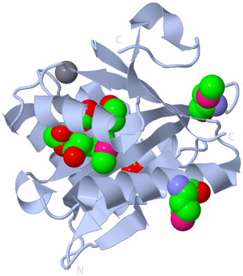 Image Biological Unit 1