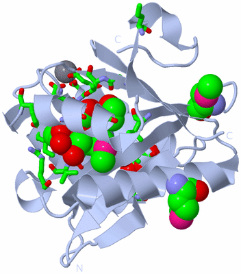 Image Biol. Unit 1 - sites