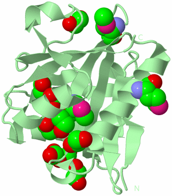 Image Biological Unit 2