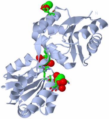 Image Biol. Unit 1 - sites