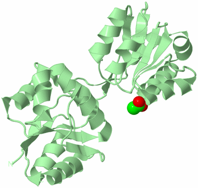 Image Biological Unit 2