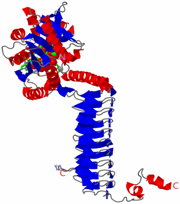 Image Asym. Unit - sites