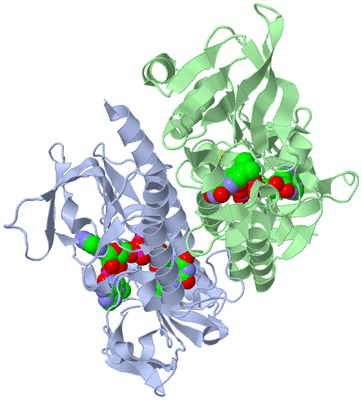 Image Asym./Biol. Unit