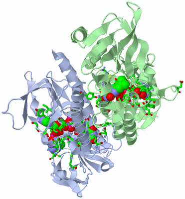 Image Asym./Biol. Unit - sites