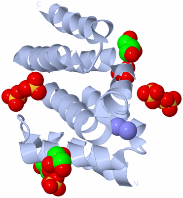 Image Biological Unit 1