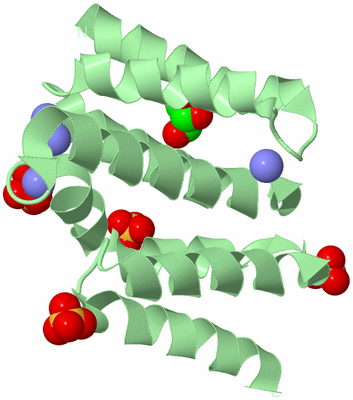 Image Biological Unit 2