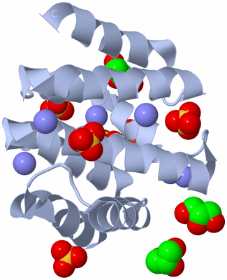 Image Biological Unit 1