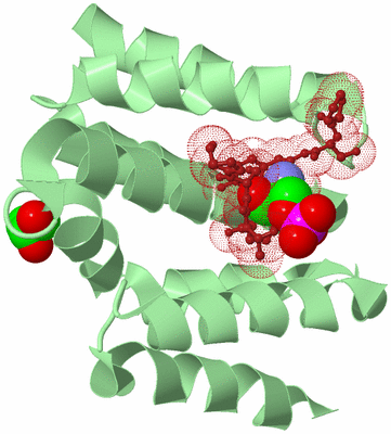 Image Biological Unit 2