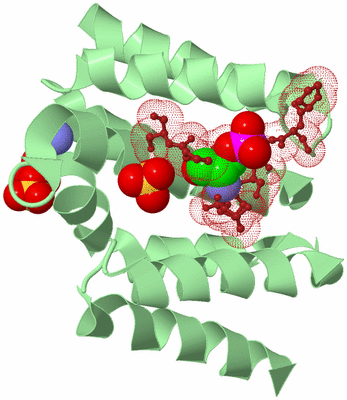 Image Biological Unit 1