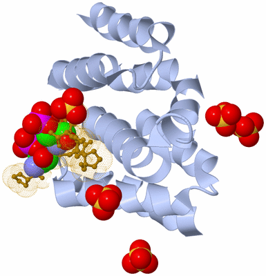 Image Biological Unit 1