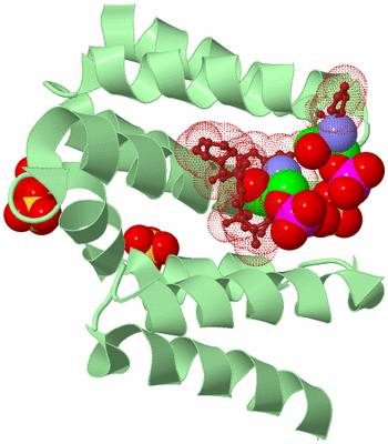 Image Biological Unit 2