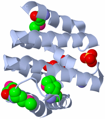 Image Biological Unit 2