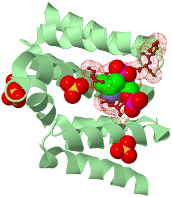 Image Biological Unit 1