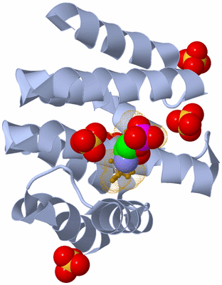 Image Biological Unit 2