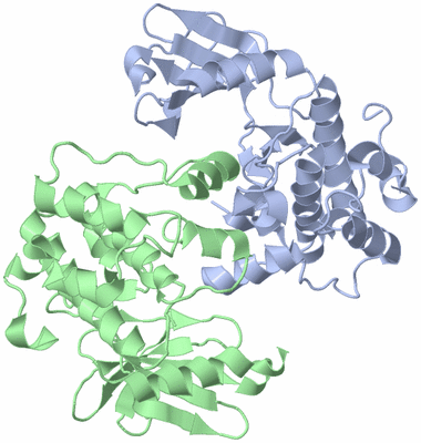 Image Biological Unit 3