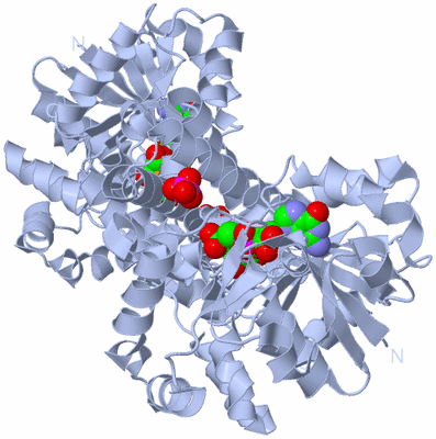 Image Biological Unit 1