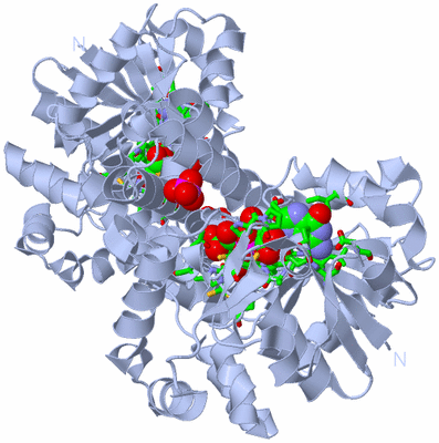 Image Biol. Unit 1 - sites