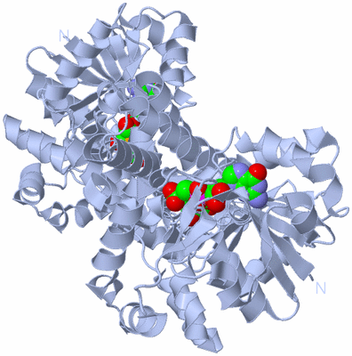 Image Biological Unit 1