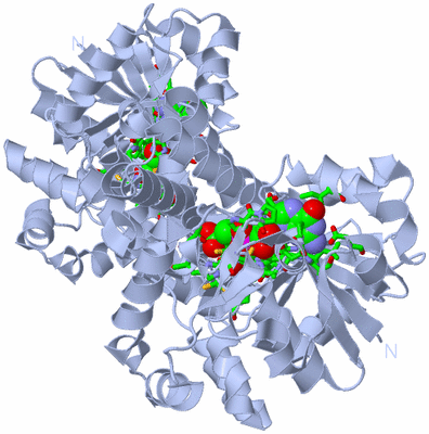 Image Biol. Unit 1 - sites