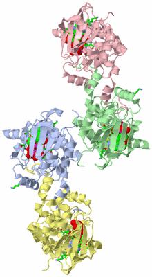 Image Biol. Unit 1 - sites