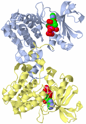 Image Biological Unit 2