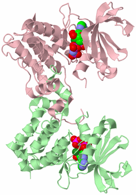 Image Biological Unit 3