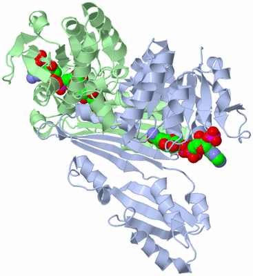 Image Asym./Biol. Unit