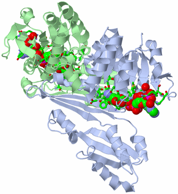 Image Asym./Biol. Unit - sites